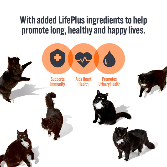 Hi Life Cat Cans Meat Selection