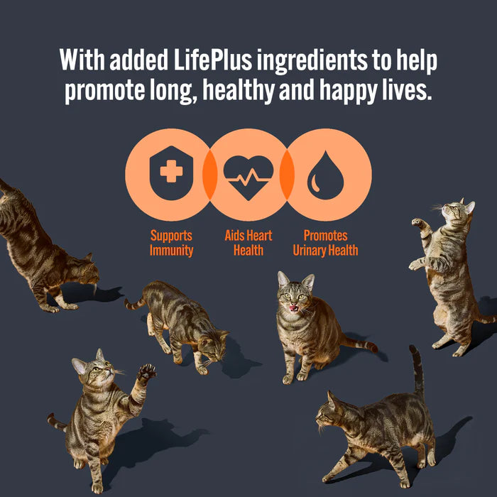 Hi Life Cat Cans Fish Selection