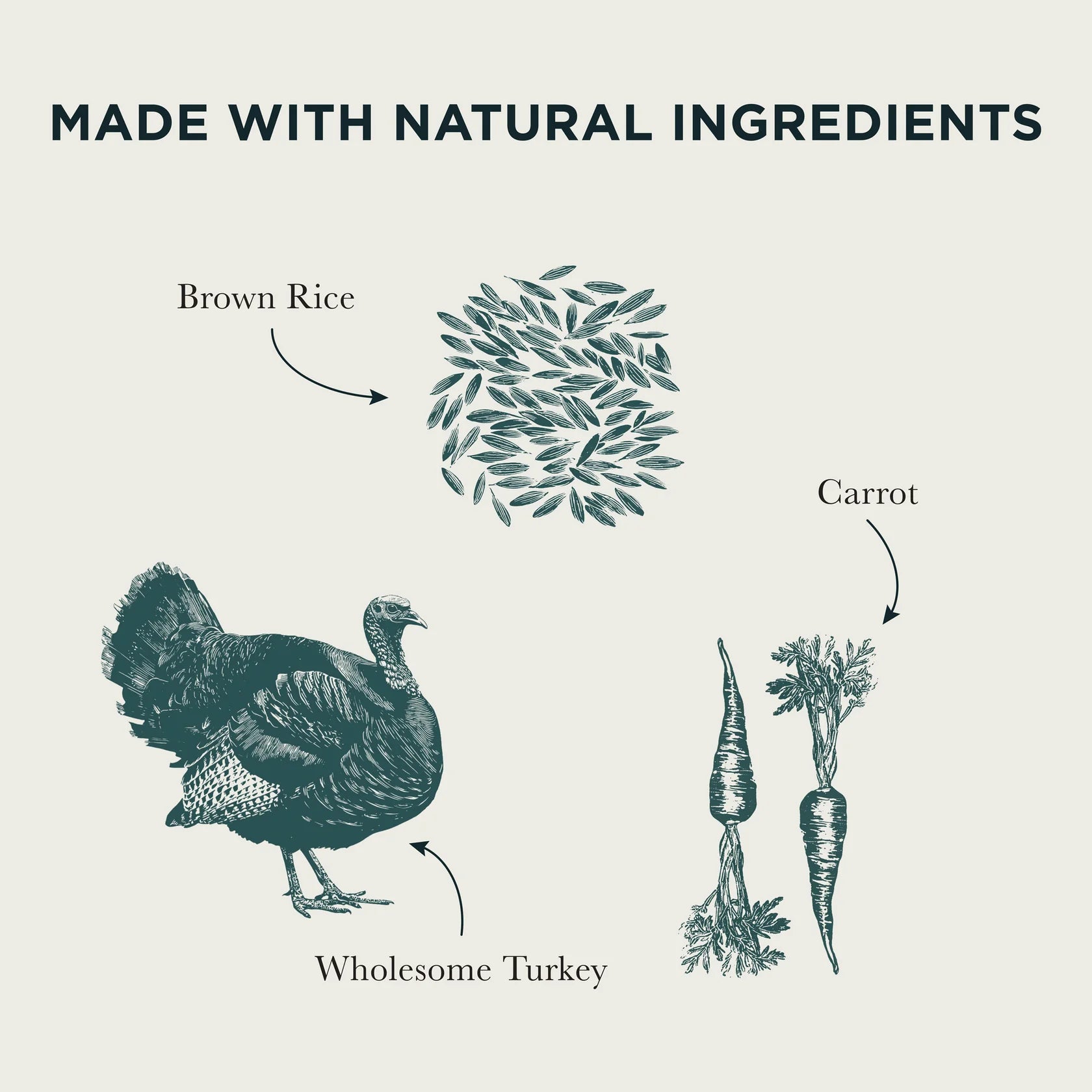 Burns Grain Free Turkey & Potato