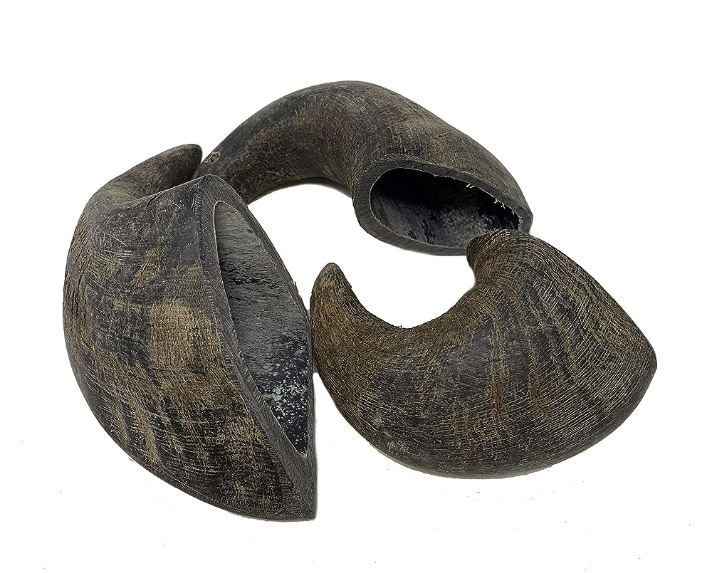 Buffalo Horns