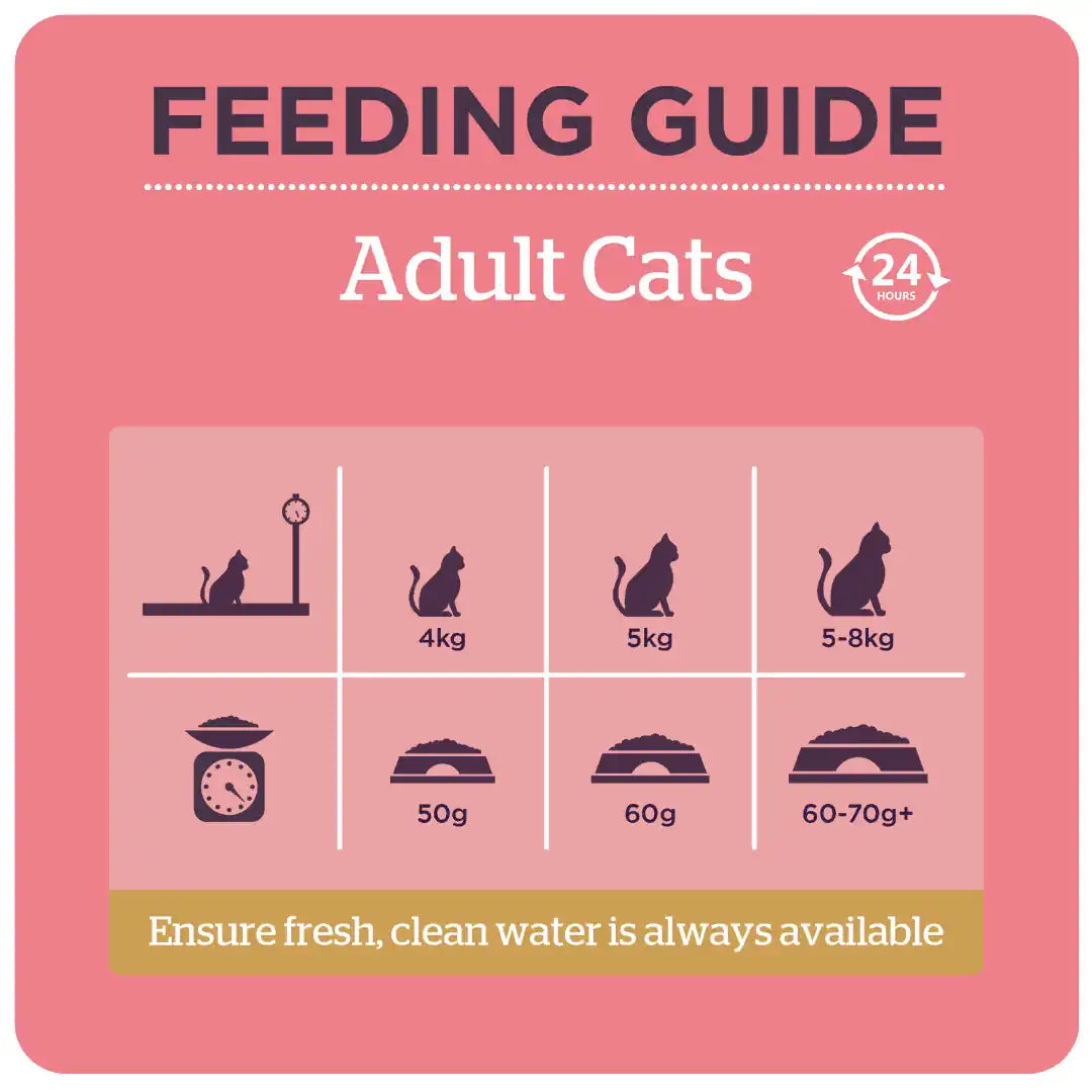 Burgess Cat Chicken & Duck