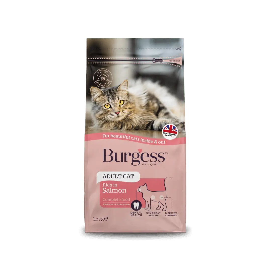 Burgess Cat Salmon