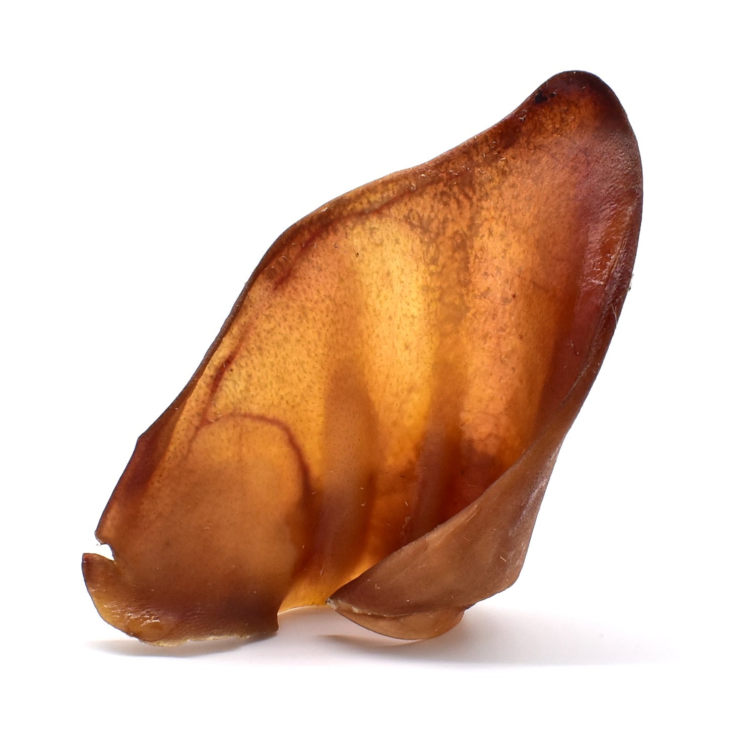 Pigs Ears