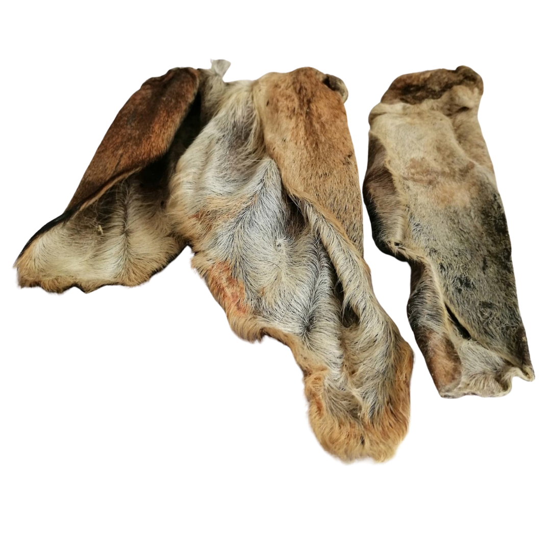 Goat Ears