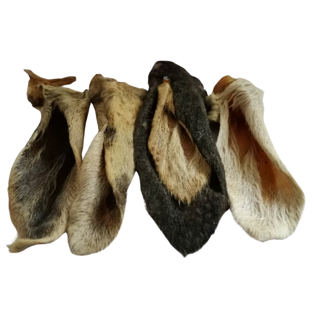 Lamb Ears