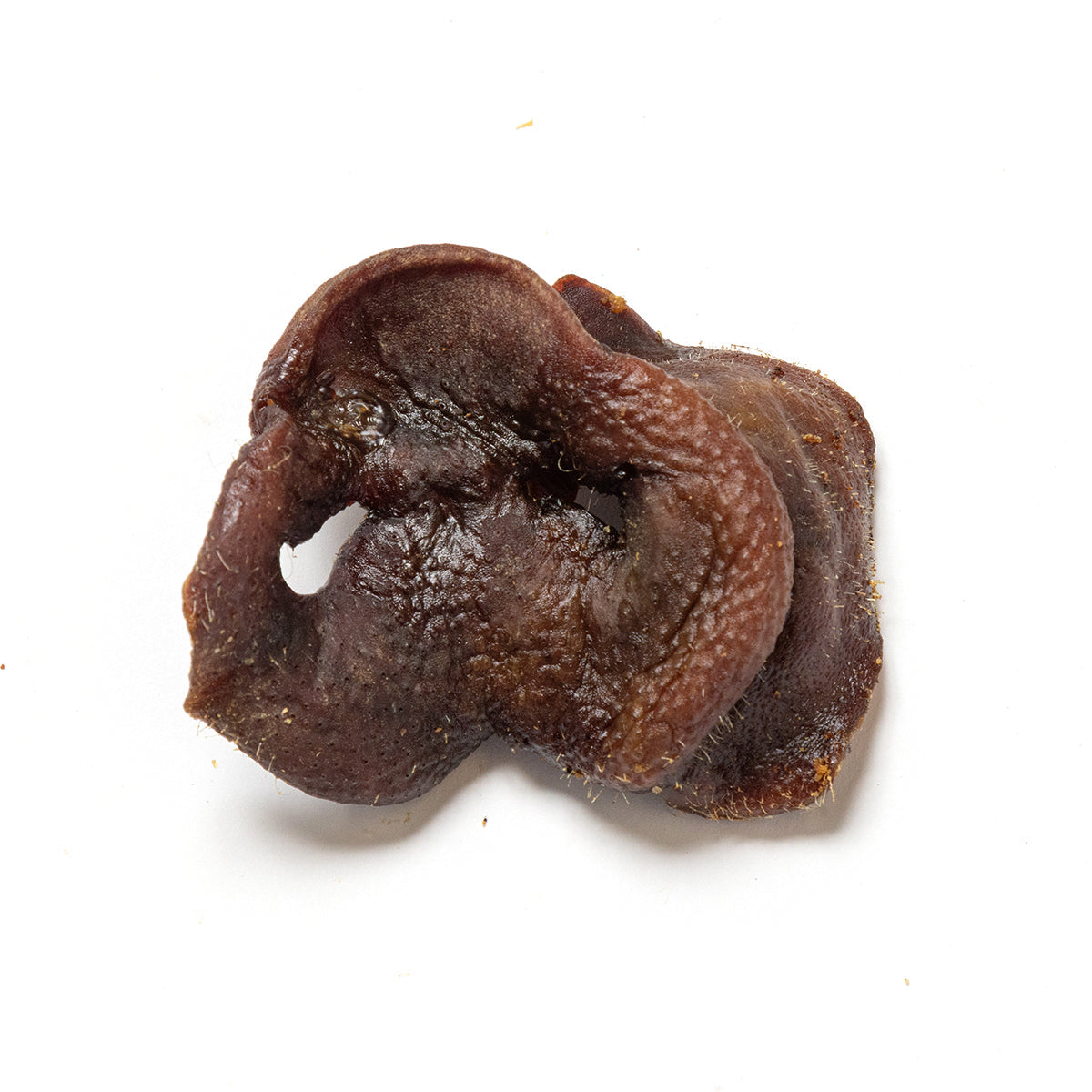 Pigs Snouts (Noses)