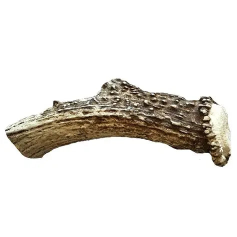 Deer Antlers