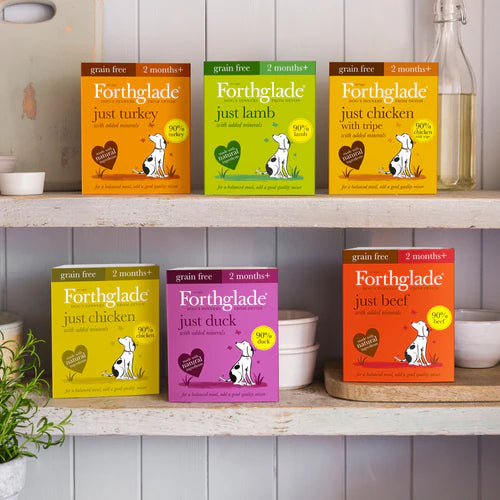 Forthglade Just Beef Complementary Wet Dog Food