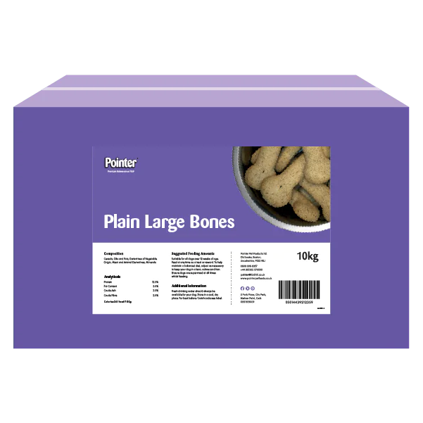 Pointer Plain Large Bones