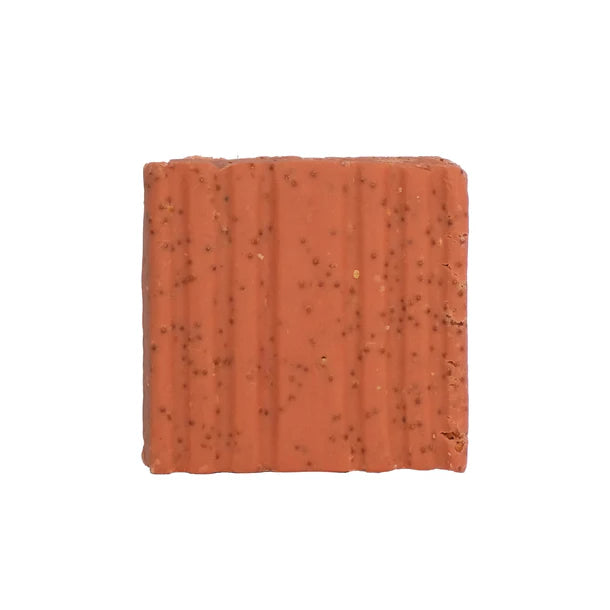 Suet To Go Suet Cakes 10pk Berry