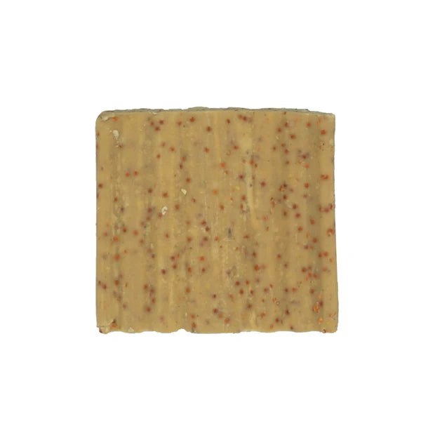 Suet To Go Suet Cakes 10pk Insect