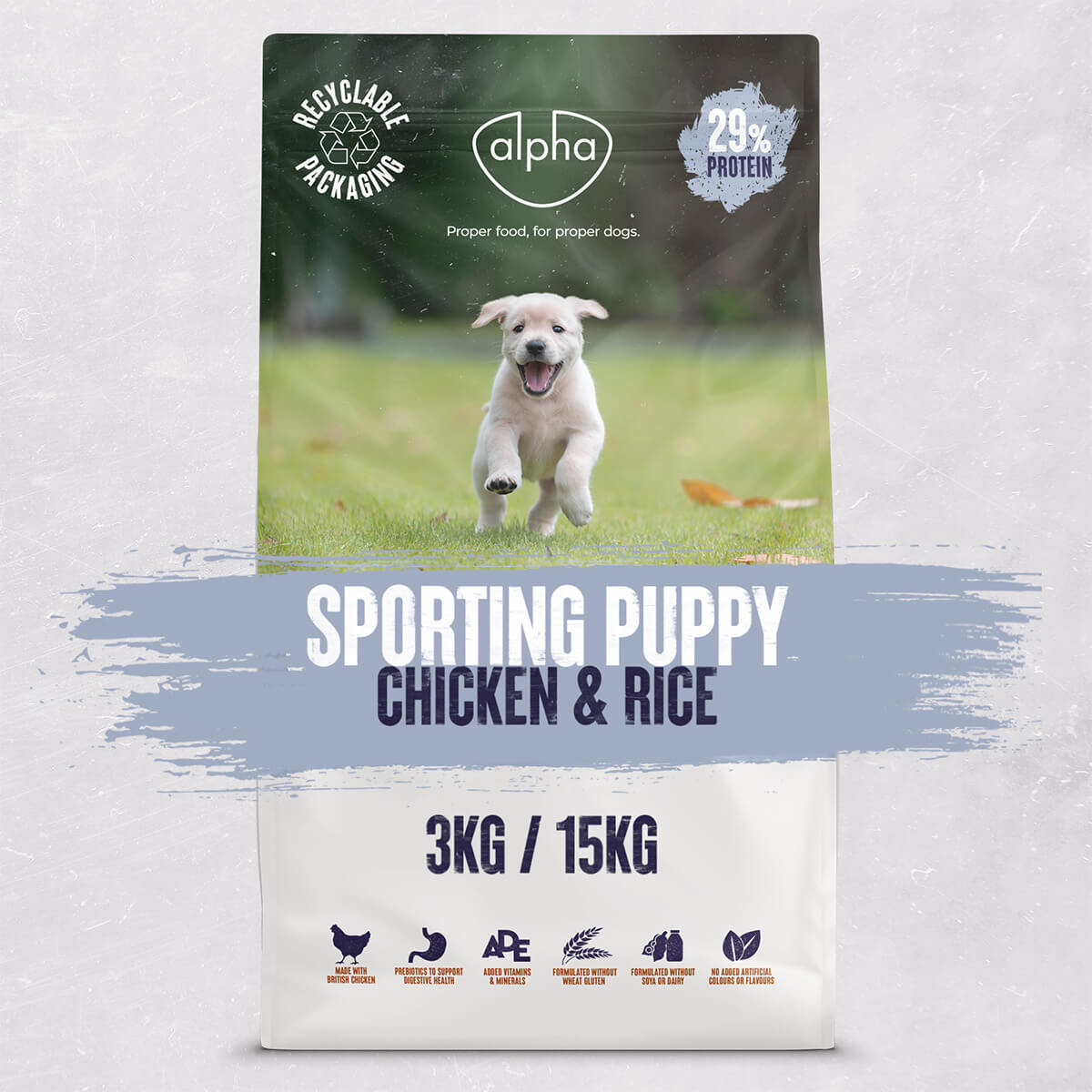 Alpha Sporting Puppy