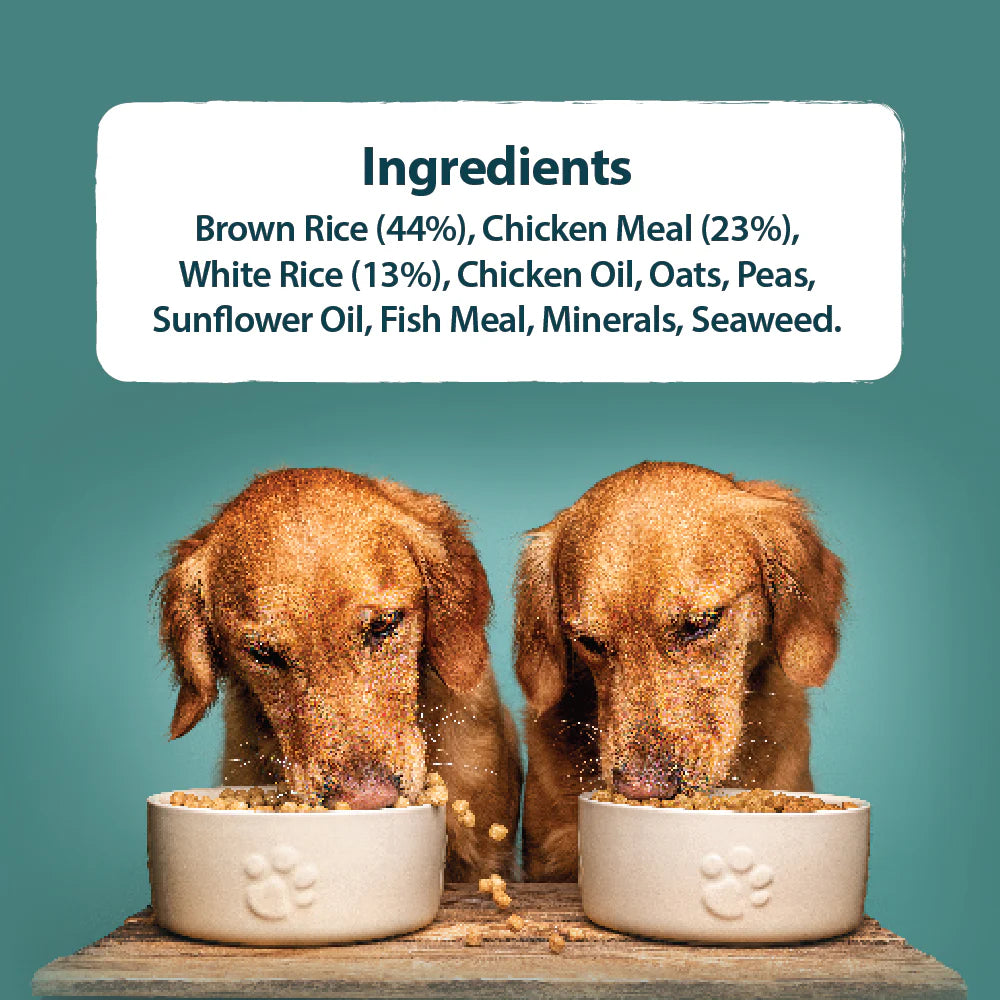 Burns Original Toy/Small Breed Chicken & Brown Rice