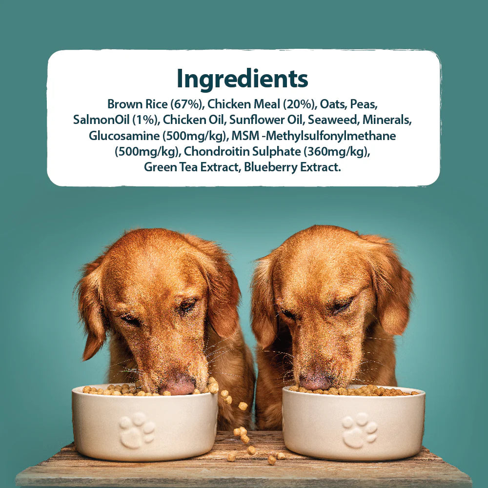 Burns Original Chicken & Brown Rice Large & Giant Breed