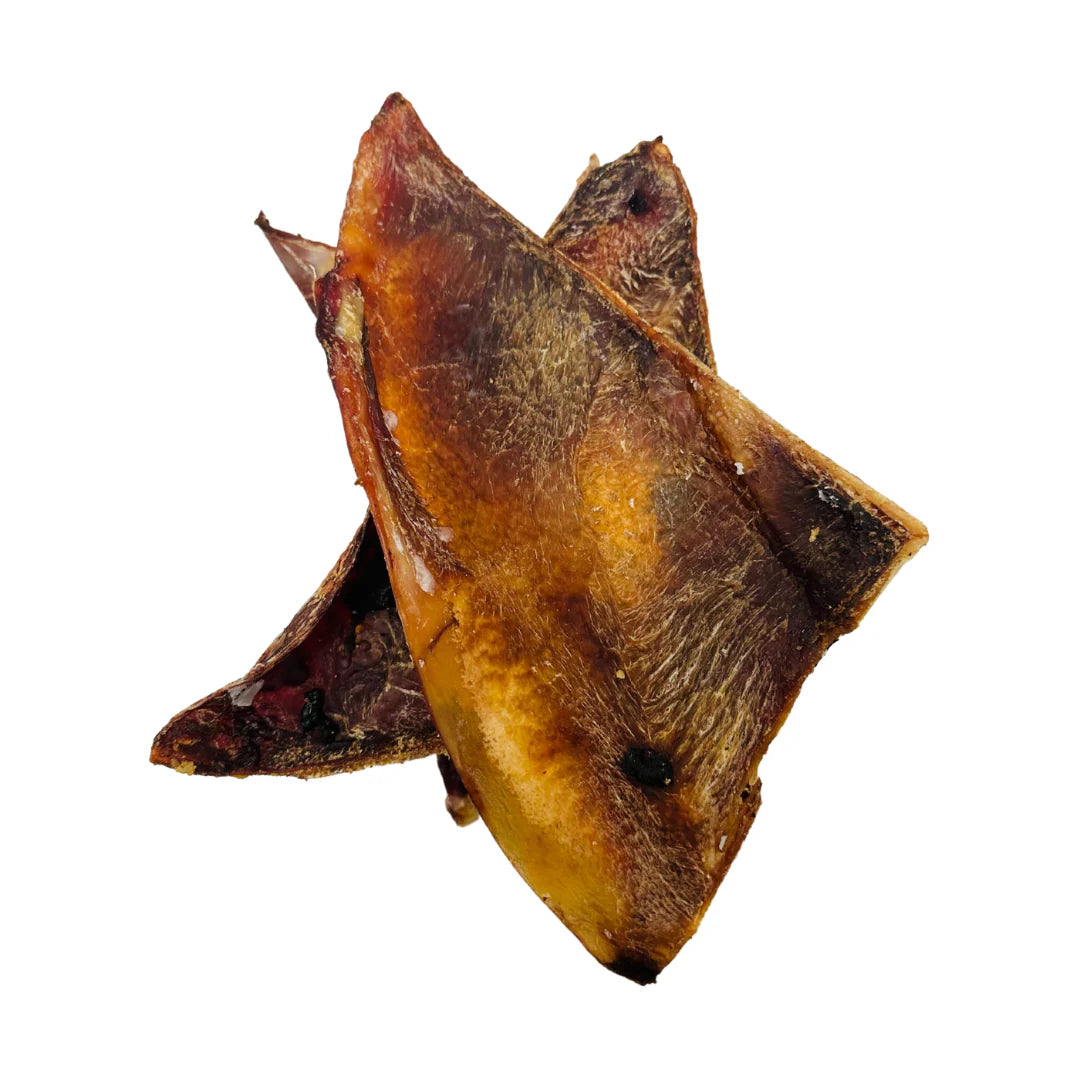 Beef Cartilage (Moon Bone)