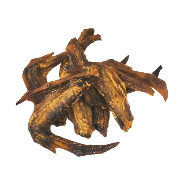 Duck Wings