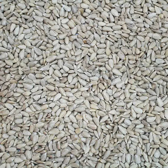 H.G.K. Sunflower Hearts