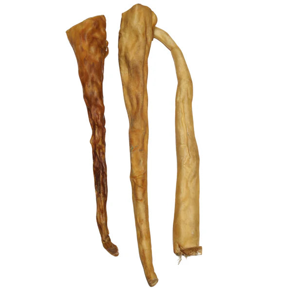 Buffalo Tails