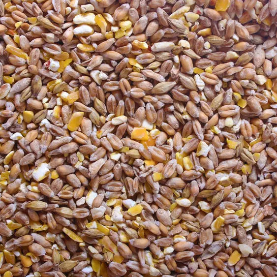 Mixed Poultry Corn