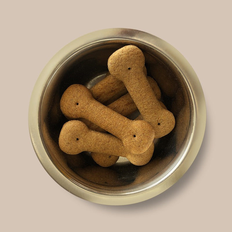 Pointer Plain Large Bones