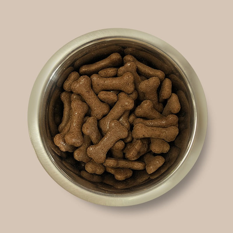 Pointer Gravy Bones Beef