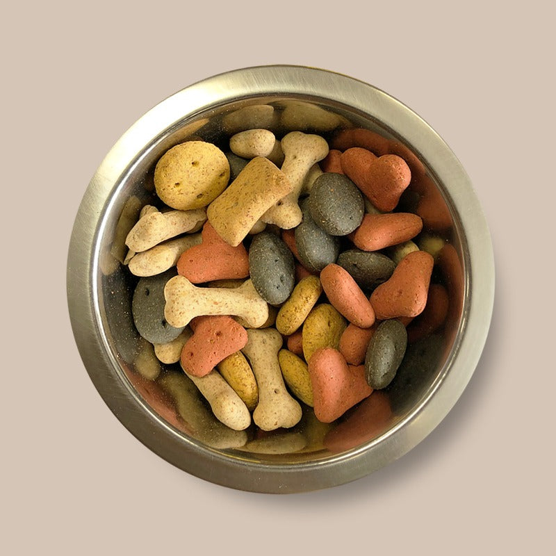 Pointer Biscuit Selection