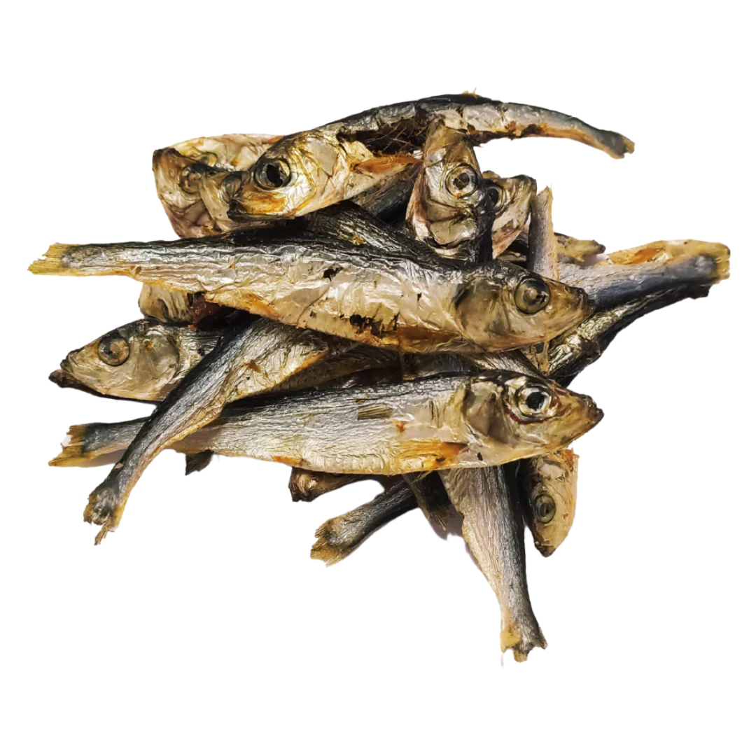 Sprats
